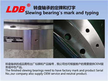轉(zhuǎn)盤軸承的定牌和打字